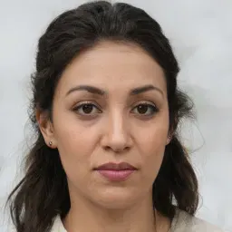 Ảnh đại diện Minh Quân